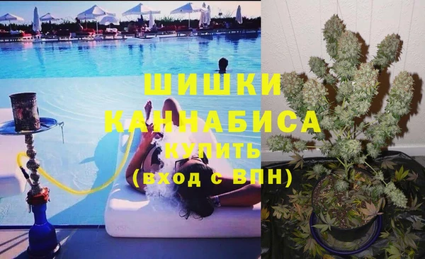 крисы Алексин