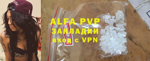 крисы Алексин