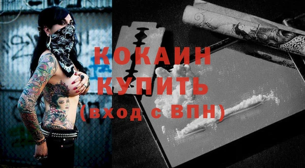 крисы Алексин