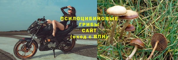 МДПВ Алексеевка