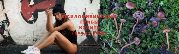крисы Алексин