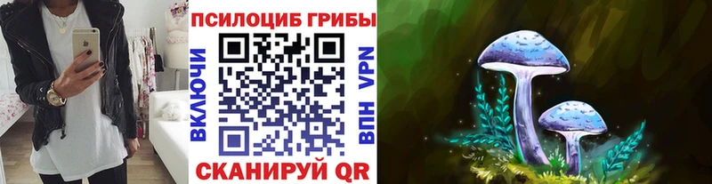 Галлюциногенные грибы MAGIC MUSHROOMS  Анадырь 